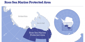 #MAGALLANES Representante chileno destaca la importancia de contar con un Área Marina Protegida en la península Antártica