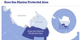 #MAGALLANES Representante chileno destaca la importancia de contar con un Área Marina Protegida en la península Antártica