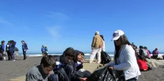 #MAULE Constitución celebró el Día Internacional de Limpieza de Playas