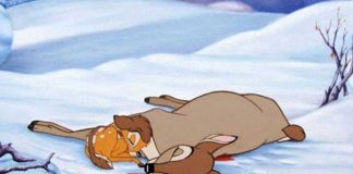 #VALPARAISO Proponen construir cementerio municipal de animales