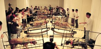 #ESTADOSUNIDOS Conocido museo de Nueva York retira imágenes artísticas alusivas a maltrato animal