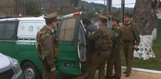 #LAARAUCANIA Dos detenidos por robo de animales y venta de carne clandestina