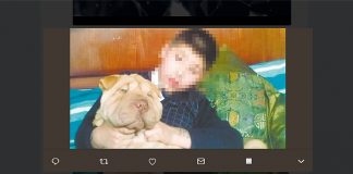 #PUNTOLEGAL Dieciocho abogados defienden a Pantuque, un perro shar pei acusado de morder a un niño en Bolivia