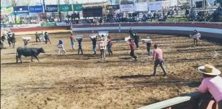#SANTIAGO Casi treinta activistas irrumpieron en competencia de rodeo celebrada en Padre Hurtado