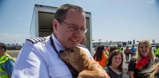 #ESTADOSUNIDOS Aerolínea rescata a decenas de animales desamparados por el paso del Huracán Irma