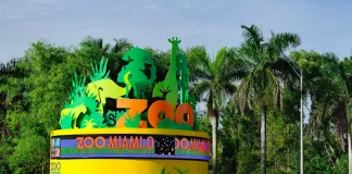 #ESTADOSUNIDOS El Zoológico de Miami no evacuará a sus animales por el huracán Irma