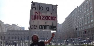 #TENDENCIAS Andro Heim y su peregrinaje difundiendo el mensaje pro animal: «El veganismo es no explotar de ninguna forma a los animales»