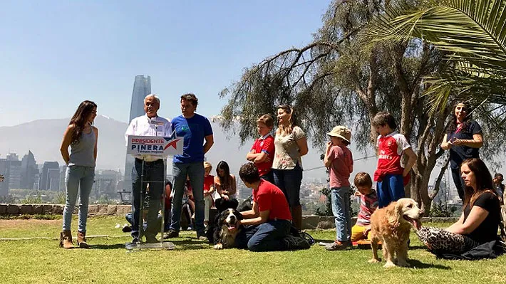 #ELECCIONES Comando de Piñera y su Agenda Animal: «Éstas propuestas nacen desde muchas organizaciones animalistas y de un equipo multidisciplinario»