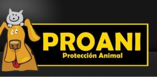 #SANTIAGO Harán Feria de las Pulgas a beneficio de PROANI San Miguel y su labor pro animal