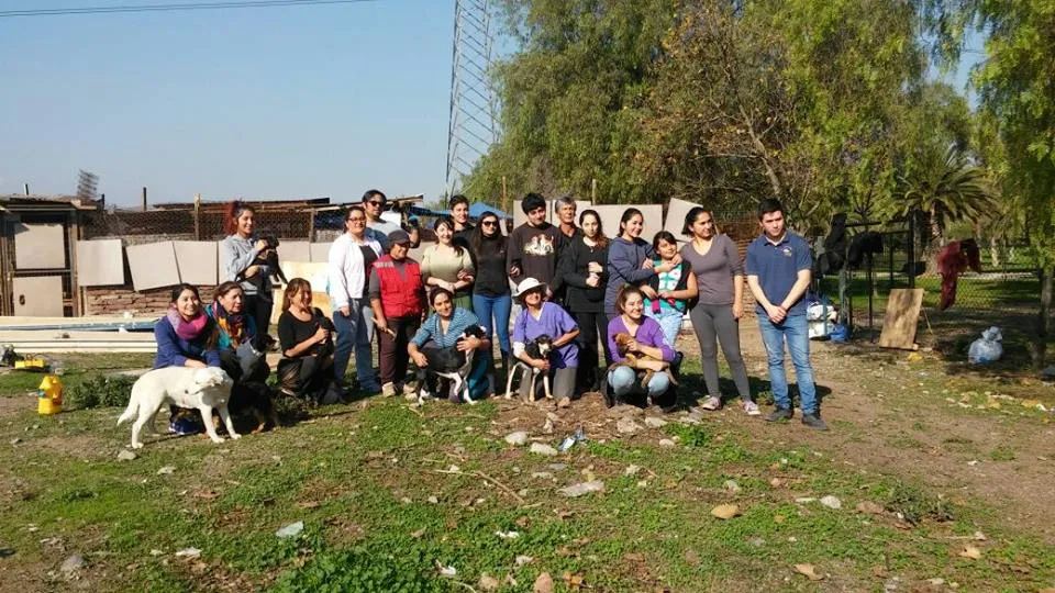 #SANTIAGO Invitan a voluntarios a sumarse a refugio de la agrupación Pro Animal Huellas