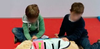 #VALPARAISO Llevarán a cabo taller relativo a la intervención asistida con animales en Viña del Mar