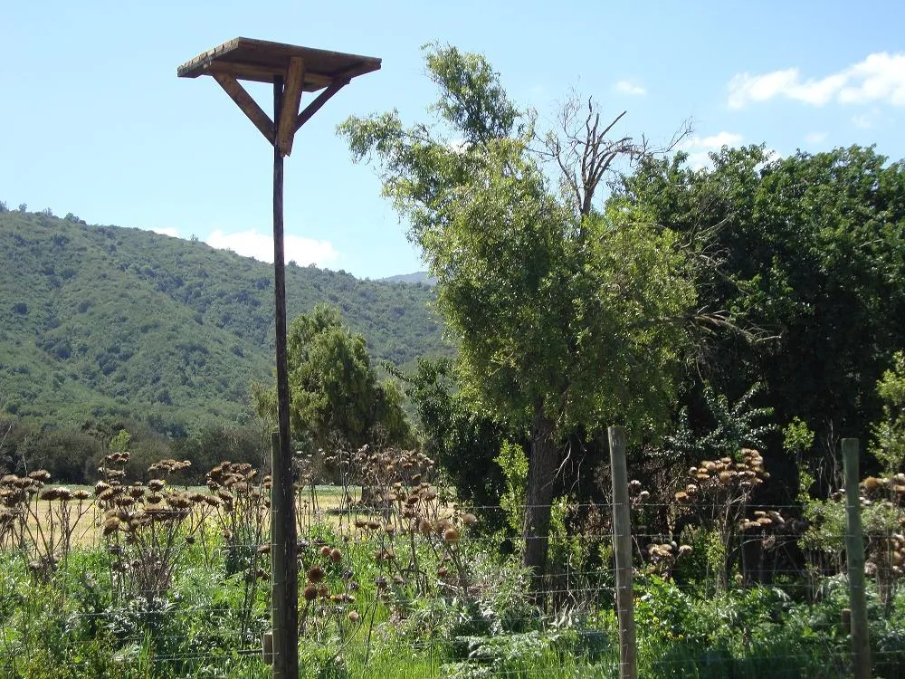 #MIRADANACIONAL Viñas chilenas son premiadas por prestigiosa revista británica a causa de jugársela por la biodiversidad