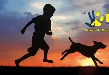 Avanzando por la vida: ¡11 años cumplimos trabajando por los animales y la naturaleza¡