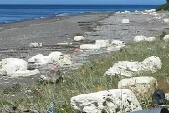 #LOSLAGOS Desarrollo de nanotecnología busca solucionar el problema del plumavit en Chiloé