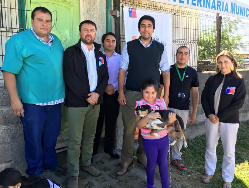 #LOSLAGOS Buscan esterilizar a mil animales este 2018 en la comuna de Purranque