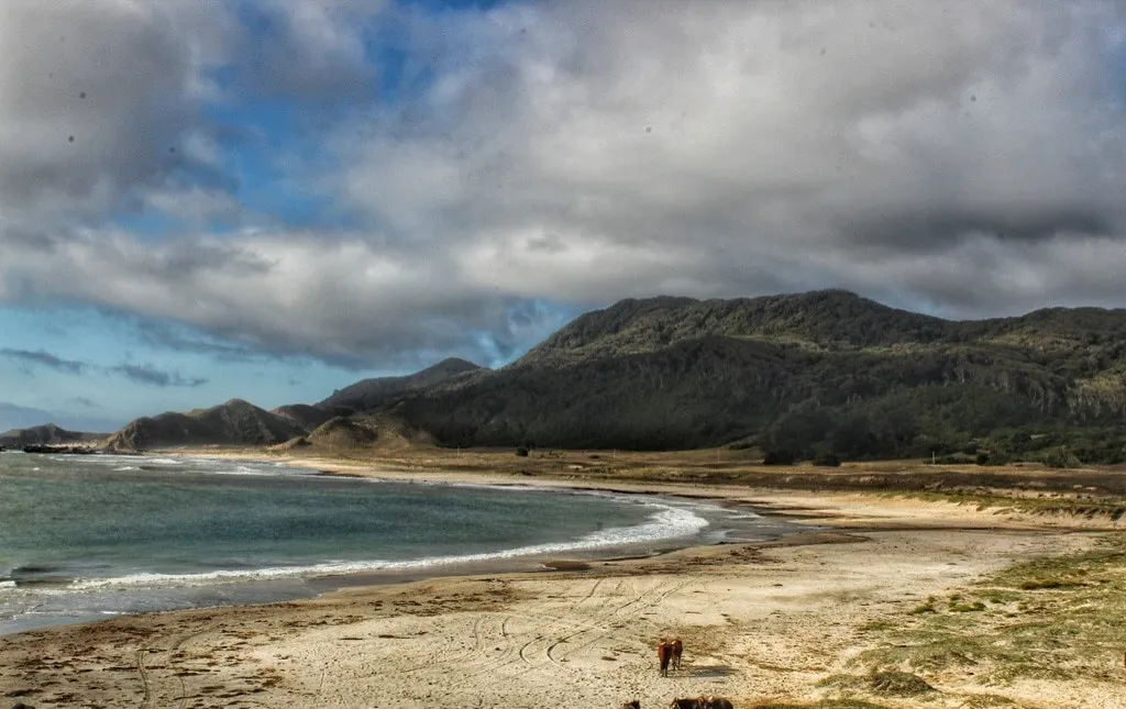 #BIOBIO Limpieza de la Isla Mocha construirá la primera tabla de surf de plástico reciclado