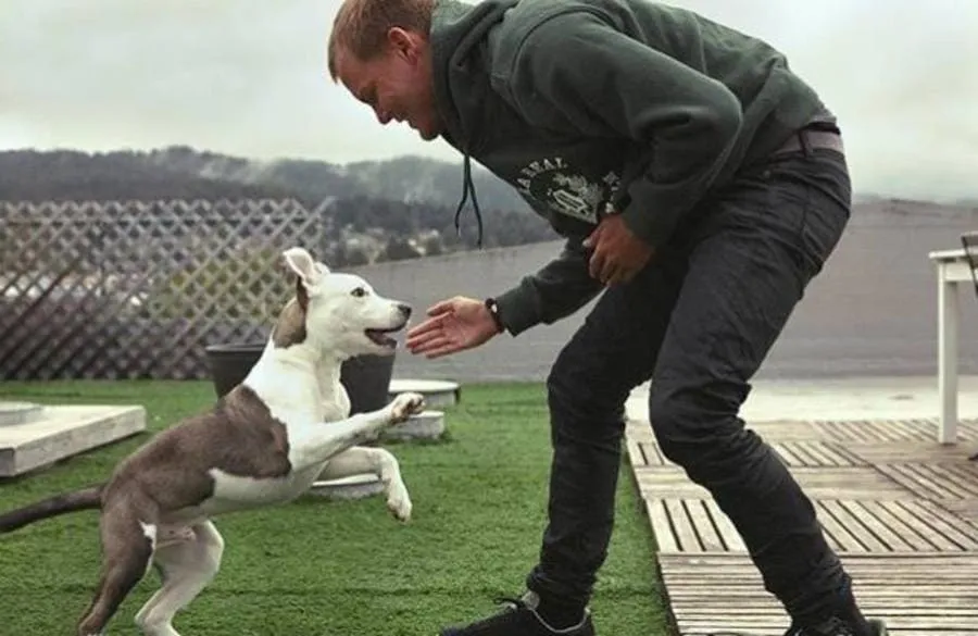 #TENDENCIAS El especial vínculo de Tim Bergling, mundialmente conocido como Avicii, y su compañero canino Liam