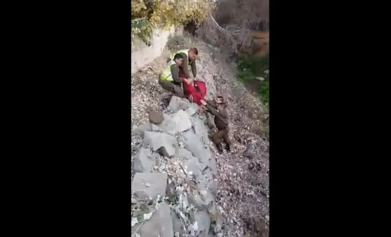 #COQUIMBO Carabineros rescata a perrito que cayó a estero ubicado en #Salamanca