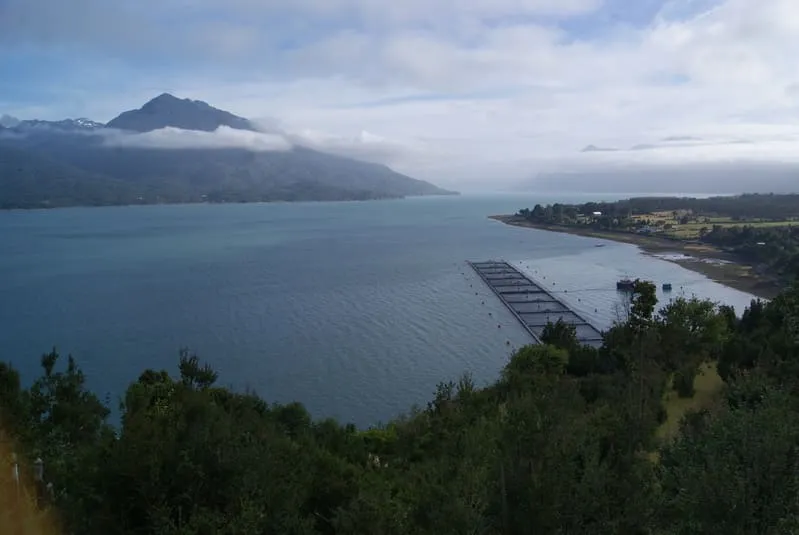 #MIRADANACIONAL Estudio de la UCSC analiza el potencial cambio en fiordos patagónicos considerando el cambio climático