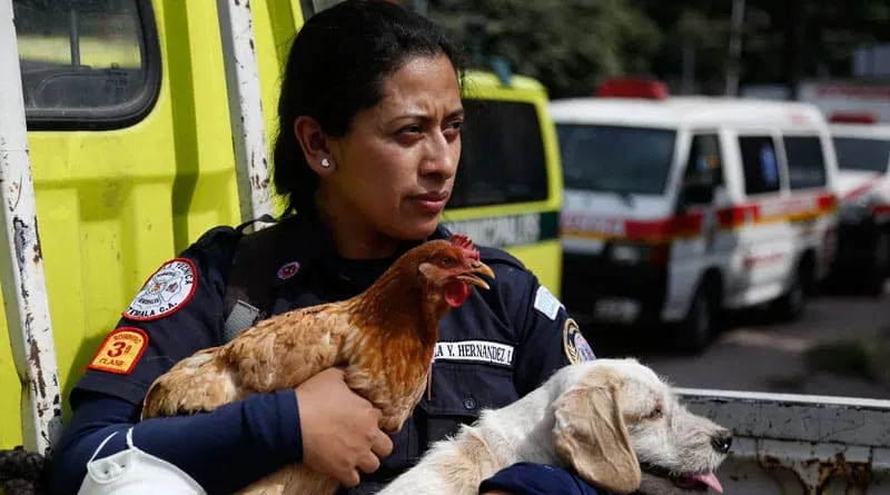 #GUATEMALA Veterinarios han atendido y rescatado a 412 animales, tras la emergencia por la erupción volcánica