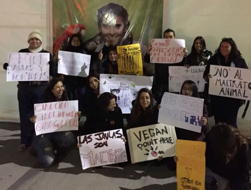 #ANTOFAGASTA Realizaron manifestación en contra de la organización de «Entre Animales», acusada de mala tenencia de animales