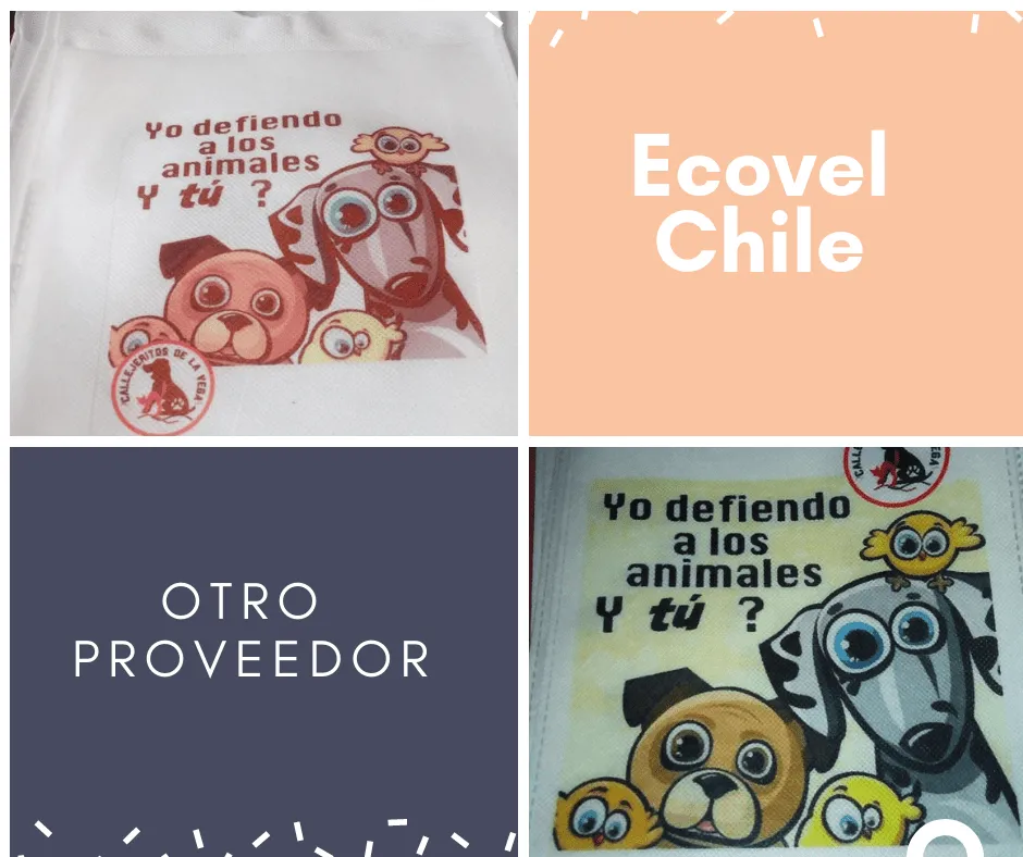 #SANTIAGO Callejeritos de la Vega denuncia mala prestación de servicio en producción de bolsas que venden con fines pro animal
