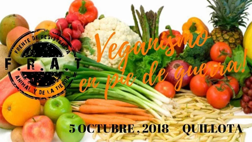 #VALPARAISO Harán feria centrado en el veganismo como filosofía de vida este viernes