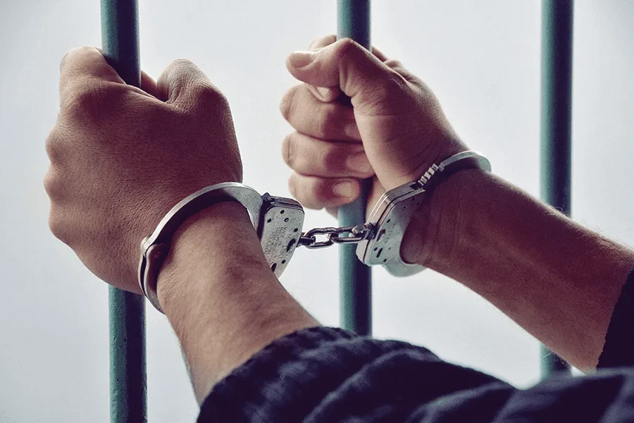 #PUNTOLEGAL ¿Sirve la Ley de Responsabilidad Penal Adolescente para afrontar casos como el de la gatita Emma?