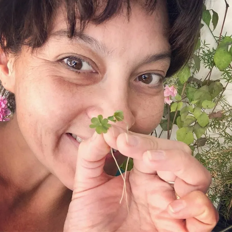 #MIRADANACIONAL Abogada María Celeste Jimenez » Falta la creación de un Servicio Nacional de Protección Animal y a quién podamos pedirle responsabilidad si no se aplican las leyes cómo se debiera»