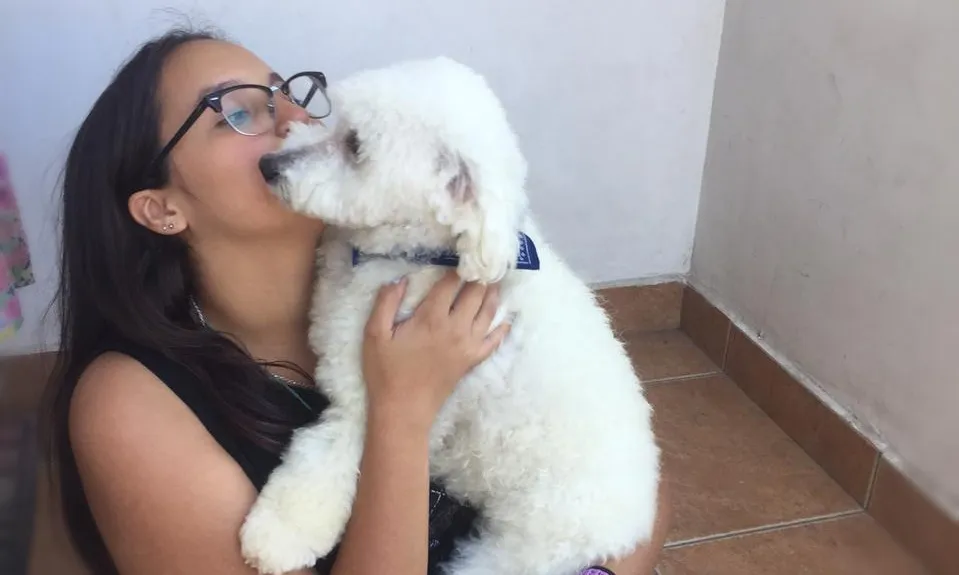 #COQUIMBO Gracias a chip de identificación familia recupera a su perro extraviado