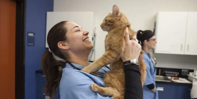 #8M La historia de las hermanas Acchiardo, las primeras médicos veterinarios en el país