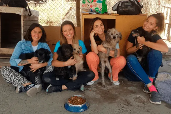 #SANTIAGO Harán jornada de adopción masiva, para encontrar hogar a los canes rescatados de #Colina