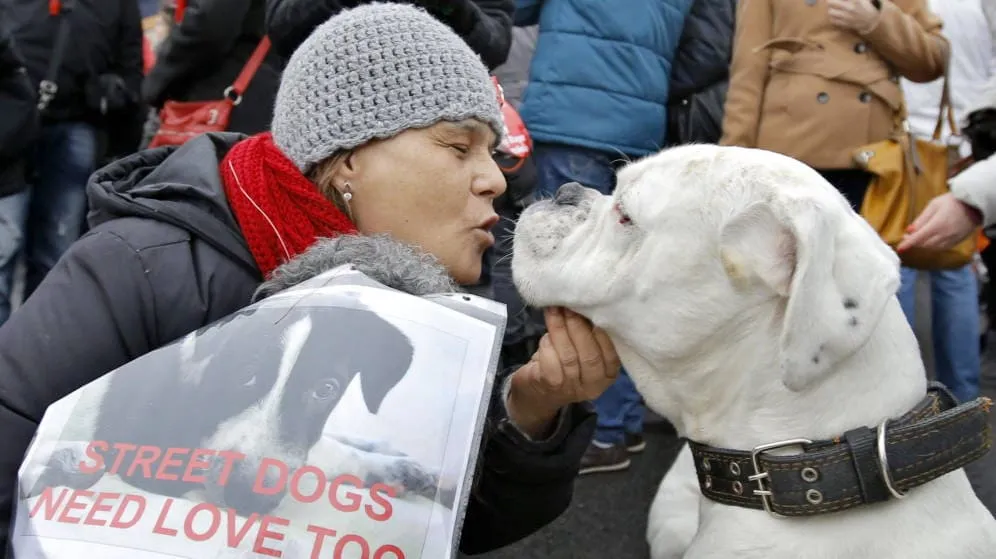 #MUNDO Australia reconocerá por ley que los animales tienen sentimientos