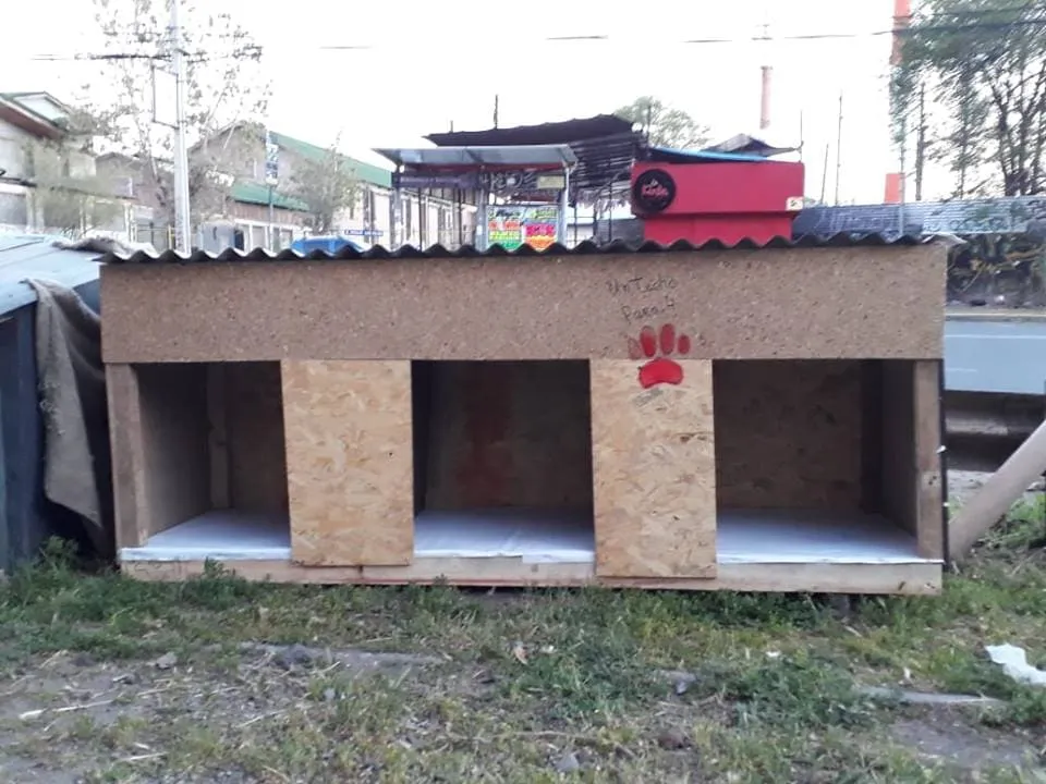 #SANTIAGO ¿Quieres ayudar a los animales, construyendo casas para los perros abandonados?, ¡súmate como voluntario a Un Techito para 4 patitas¡