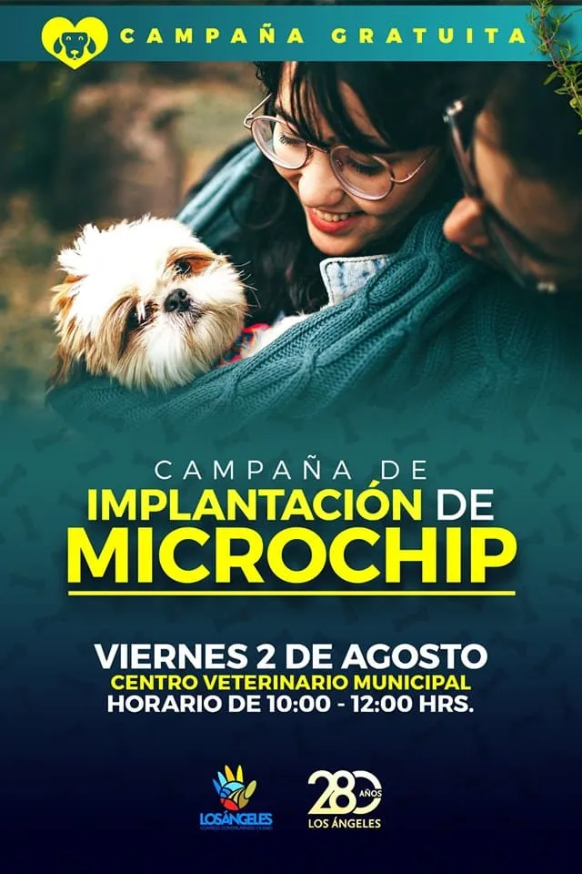 #BIOBIO Realizaran operativo de implantación de microchip en la ciudad de Los Ángeles.