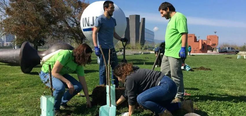 #TENDENCIAS CONAF e INJUV convocan a jóvenes para realizar arborizaciones comunitarias