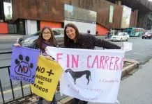 Los dilemas jurídicos y éticos detrás del boletín N°12.786-12 que pretende regular las carreras de perros (Opinión)