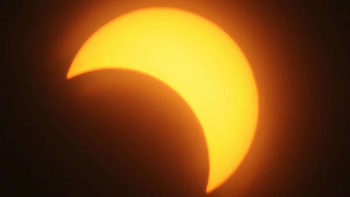 #COMPORTAMIENTOANIMAL ¿Cómo los animales reaccionan ante los eclipses?