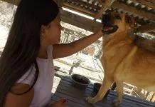 Dale sentido a tus domingos, ¡sumándote como voluntario del Refugio Esperanza de Mirada Animal Chile¡
