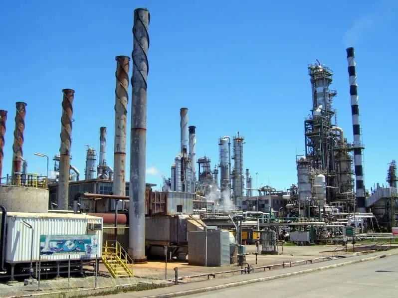 #BIOBIO Refinería ENAP en la región explica abordaje de los perros que merodean sus instalaciones, tras denuncias de grupos animalistas
