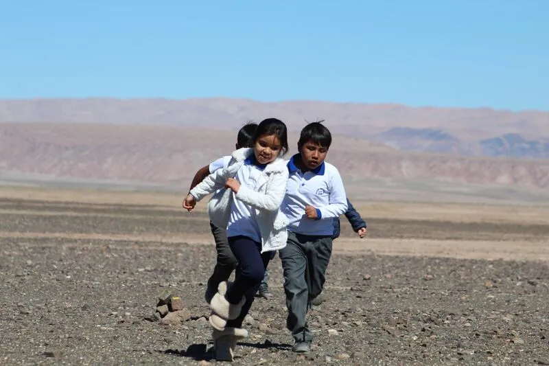 #ANTOFAGASTA Inician arborización de ruta que une Peine con Tilomonte