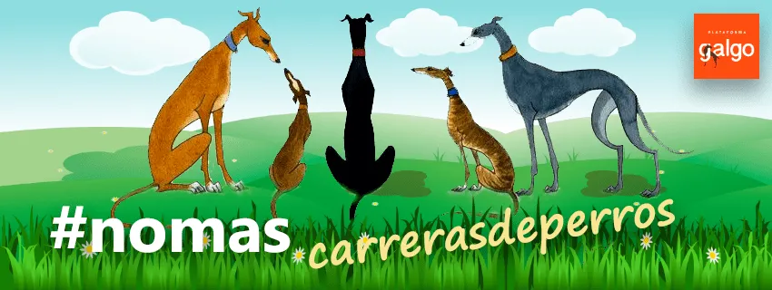 #MIRADANACIONAL Nace la plataforma Galgo, con el fin de visibilizar la realidad de maltrato y sufrimiento de dichos animales