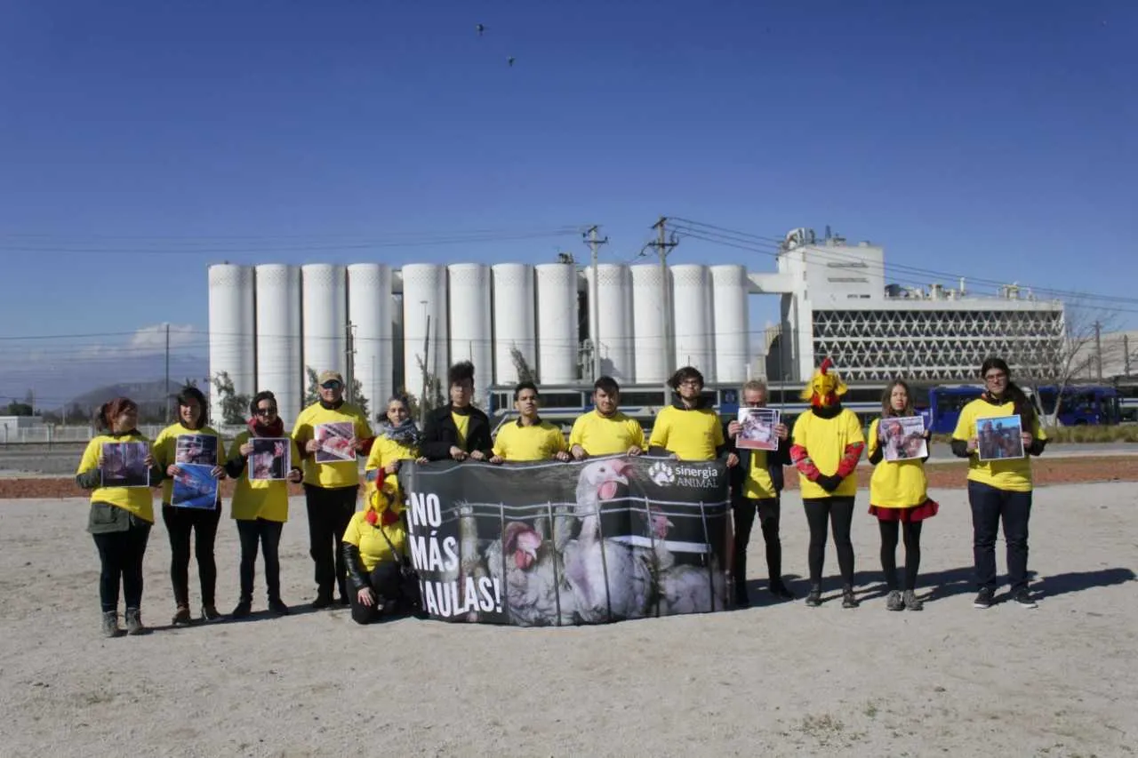 #SANTIAGO Fábrica de Carozzi es foco de protesta «aérea» de activistas de protección animal
