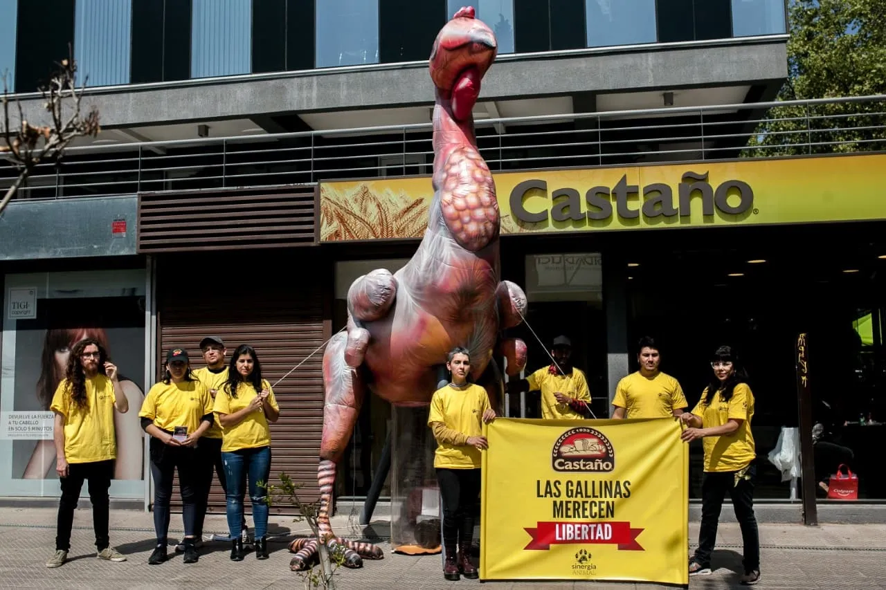 #SANTIAGO Exigen públicamente a Castaño compromiso con derechos animales