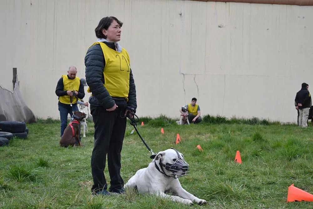 #AYSEN Brigada de adiestramiento canino capacitó a 20 dueños de perros potencialmente peligrosos