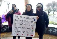 ¿Es posible crear un organismo encargado exclusivamente de velar, promover y proteger los derechos de los animales en nuestro país?
