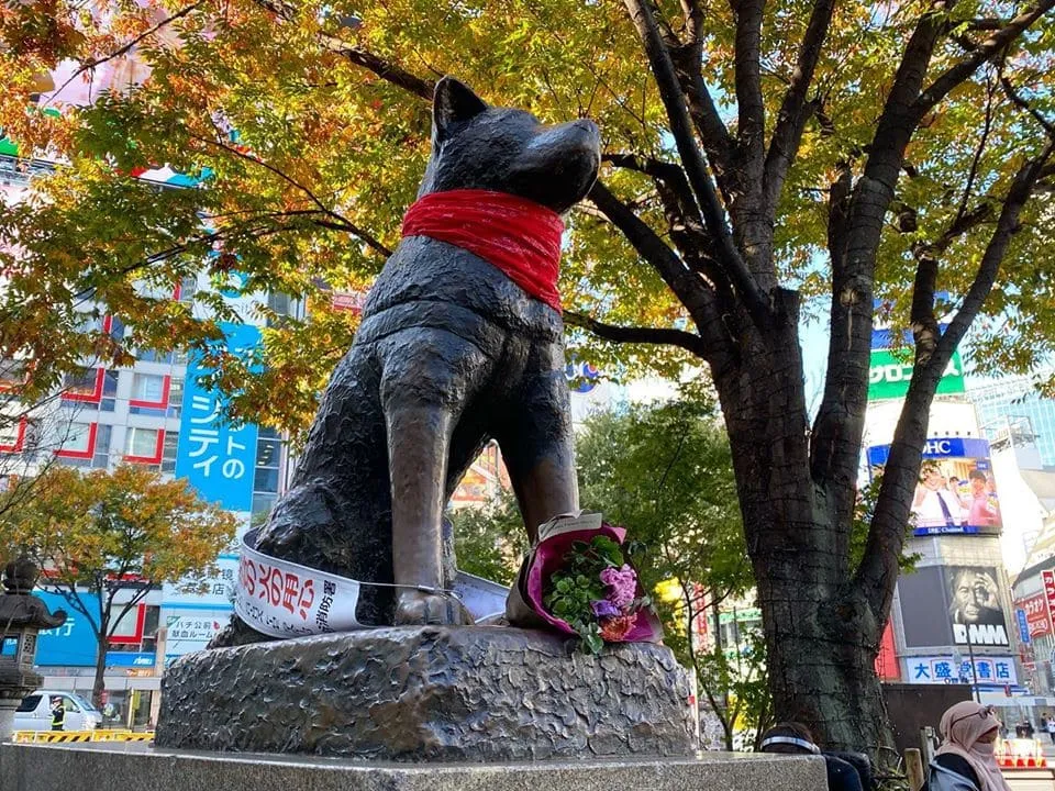 #MIRADANACIONAL La estatua de Hachiko en Japón fue decorada con un pañuelo rojo en homenaje al Negro Matapacos