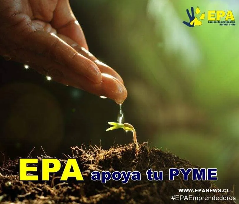 #TENDENCIAS Conoce todos los detalles de la campaña EPA apoya a tu pyme
