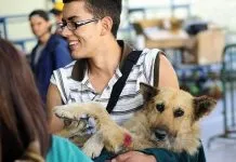 Castro realiza operativos veterinarios gratuitos y prepara jornada por el Día Mundial de los Animales