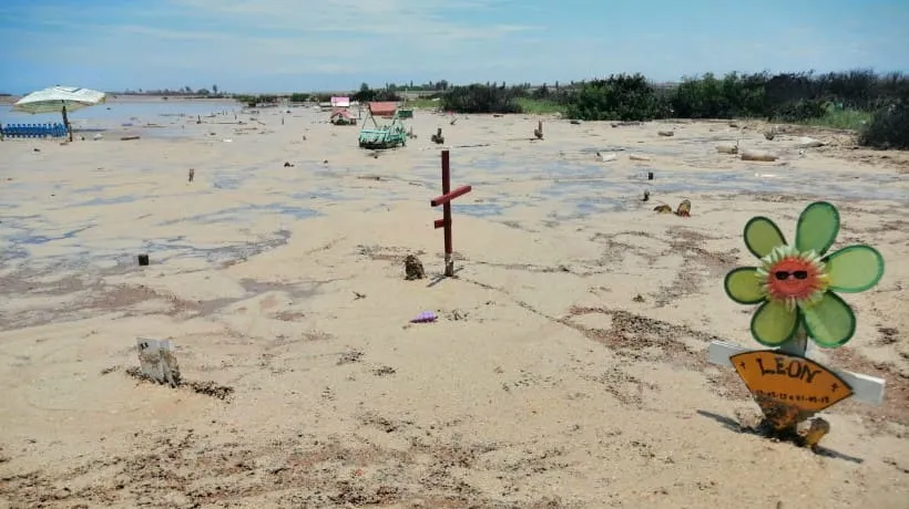 #ARICA Tras inundación de cementerio de animales en la capital regional, solicitan a la municipalidad preocuparse de las condiciones sanitarias del lugar